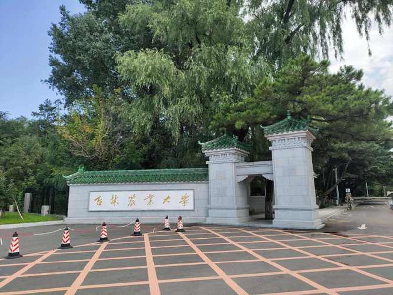 深耕农耕事业：探究长春农业公司的成长之路
