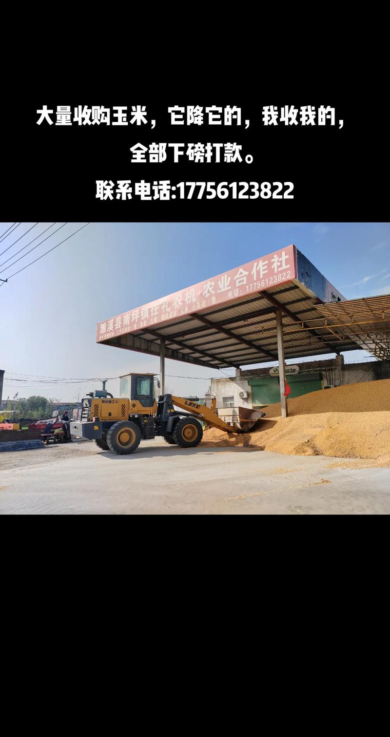 农业技术推广：让田间地头绽放科技创新之花